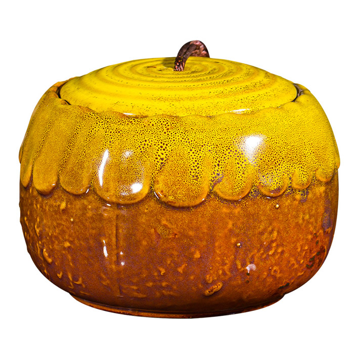 Sealed moisture-proof color glazed ceramic storage pots multiple style Jahrriesnge porcelain of cna1196