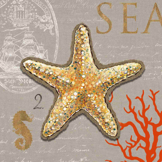 Jahrriesnge Still Life of starfish-lpf00188 