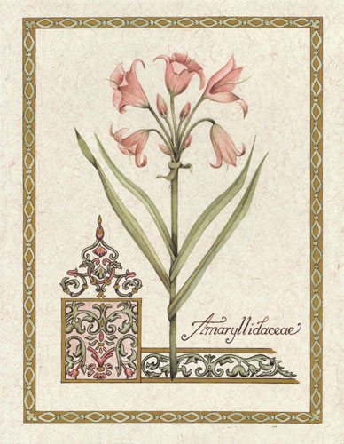 JAHRRIESNGE Floral of flower lpf04735 