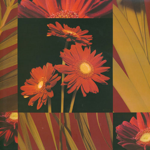 JAHRRIESNGE Floral of leaves lpf05008 