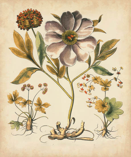 Jahrriesnge Floral of flowers-lpf07110 