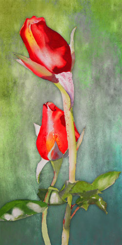 Jahrriesnge Floral of flowers-lpf07587 