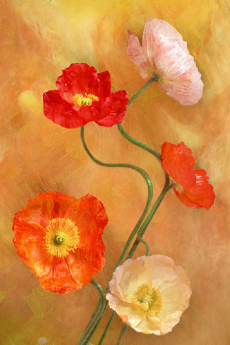 Jahrriesnge Floral of flowers-lpf07598 