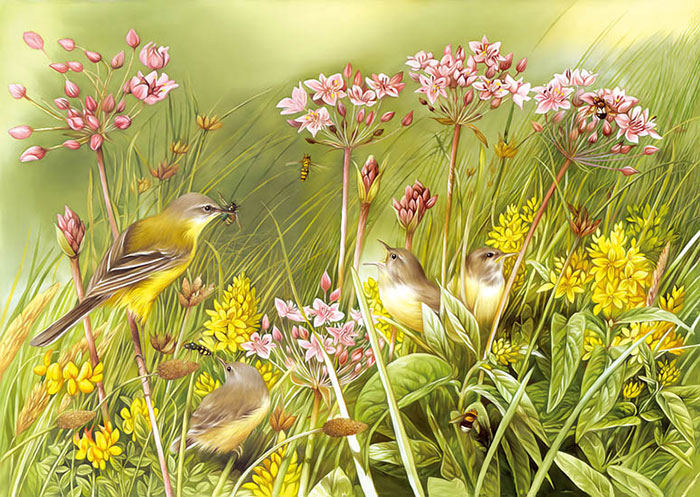 Jahrriesnge Floral of flowers lpf08174 