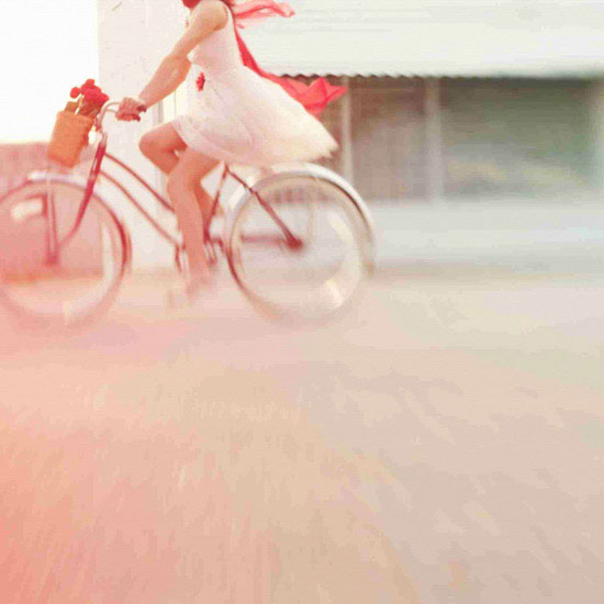 Jahrriesnge Portrait of bike lpf10471 